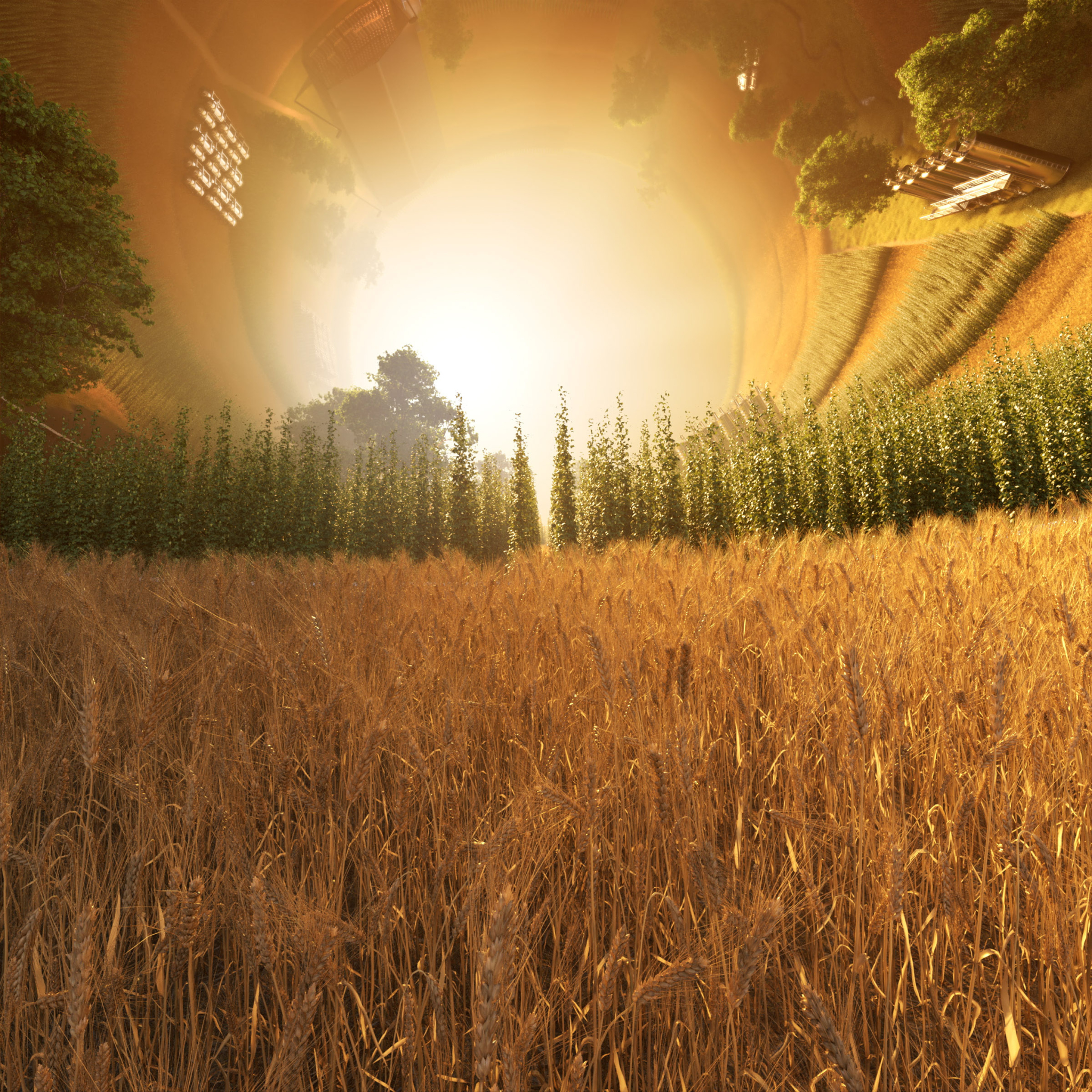 Pinter 3 Product CGI World Hop Field