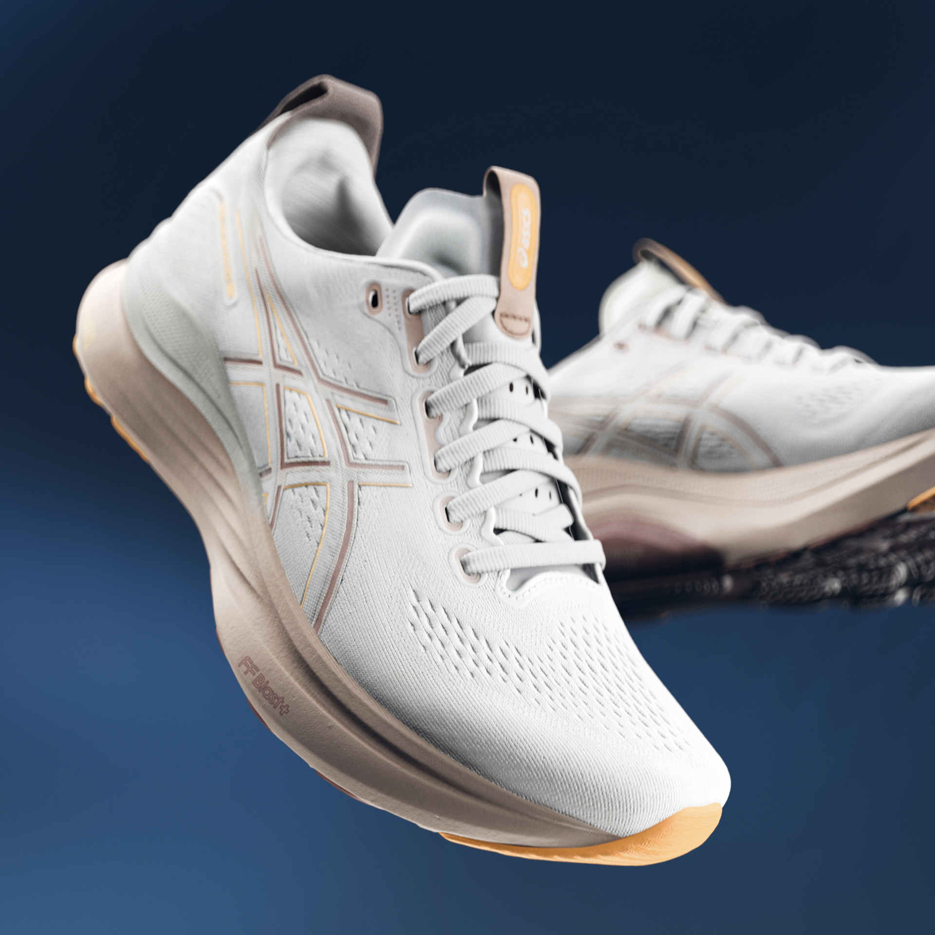 ASICS Gel Kayano Floating Shoes Pair