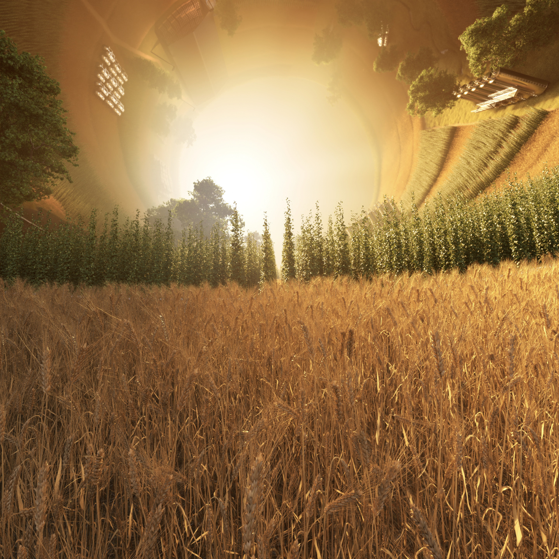 Pinter 3 World Hop Field Wheat Trees Cylinder