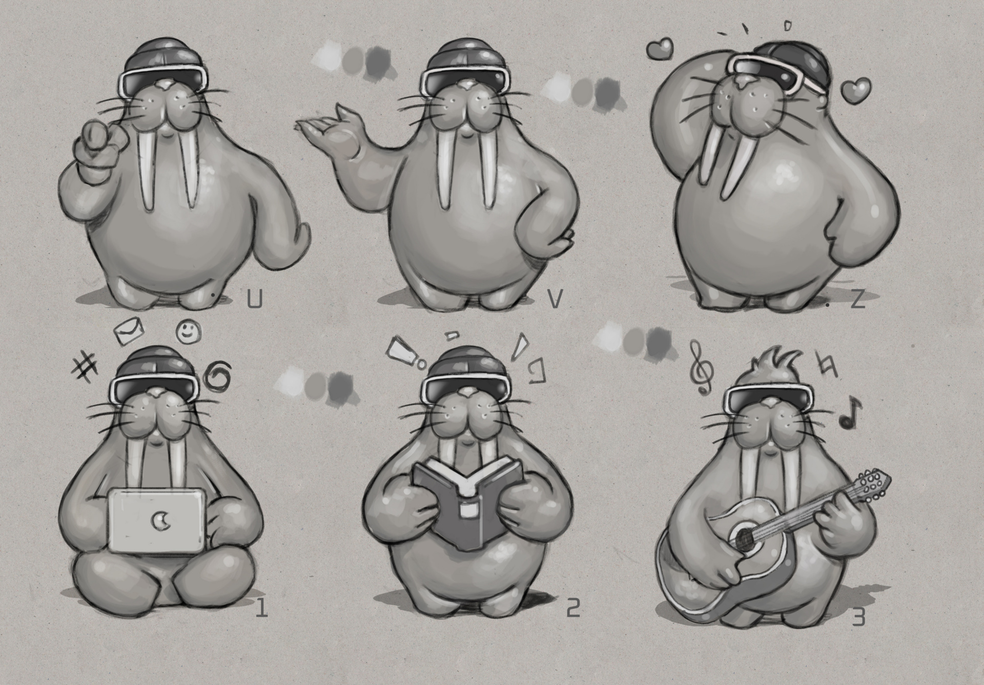 Walrus