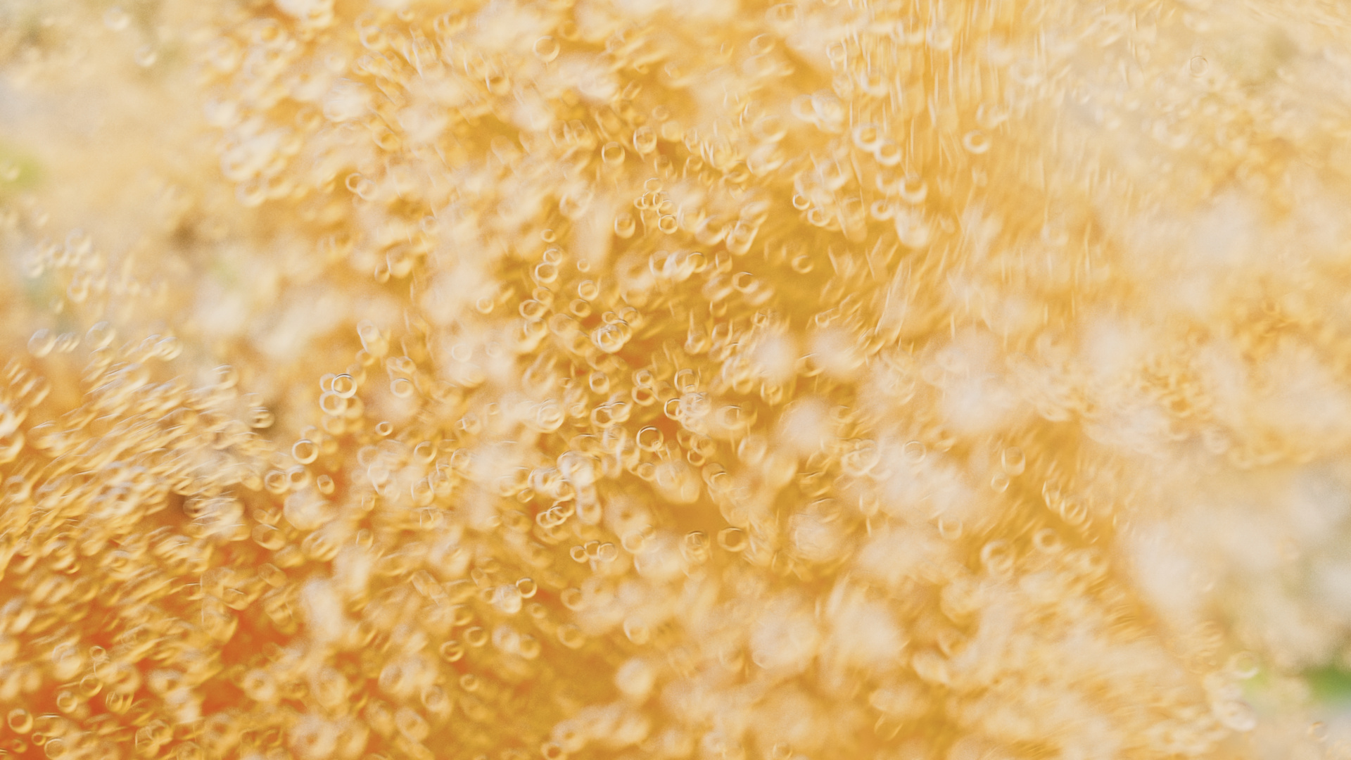 R&D Beer Liquid Bubbles
