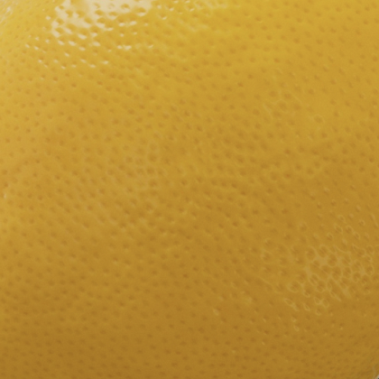 Lemon Rind CG Texture